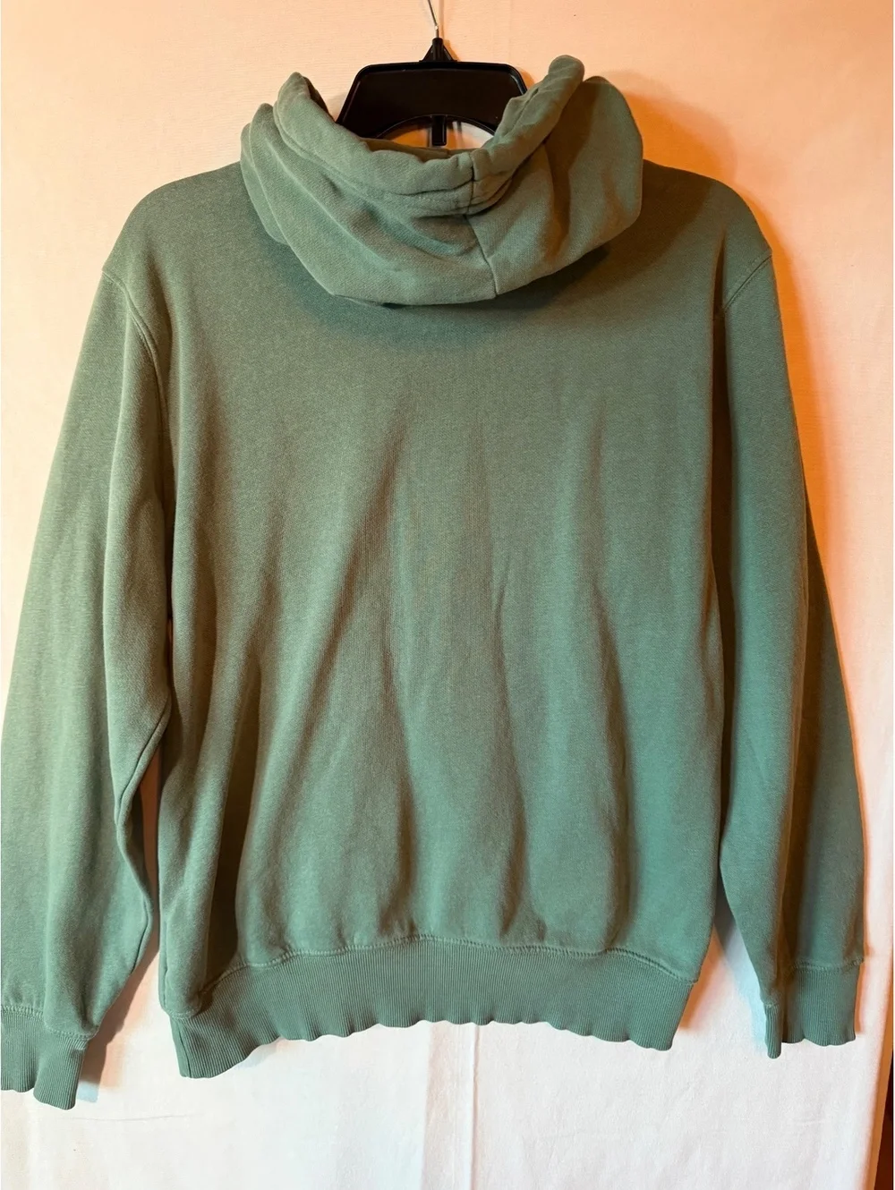 The North Face Men's Hoodie Sweatshirt Size Small Sage Green